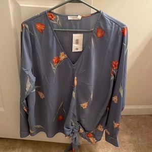 Dry Goods Blouse